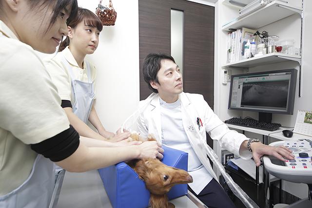 内科診療