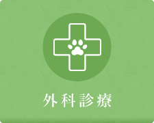 外科診療ページへ