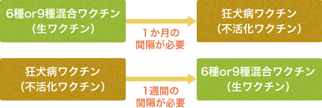 混合ワクチンと狂犬病ワクチンの間隔