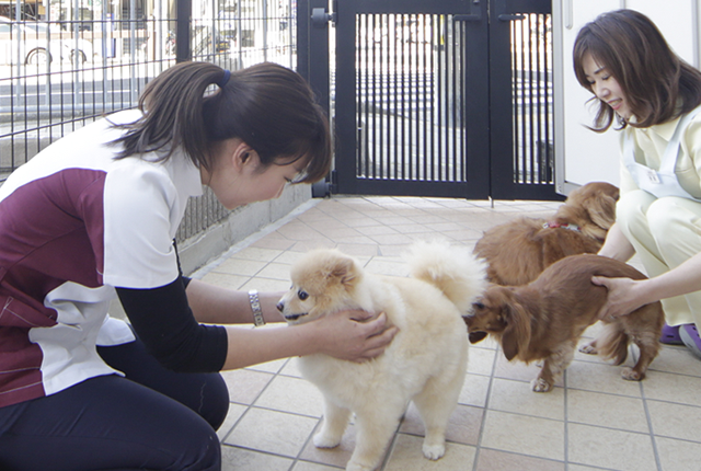 ラポール動物病院