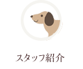 スタッフ紹介