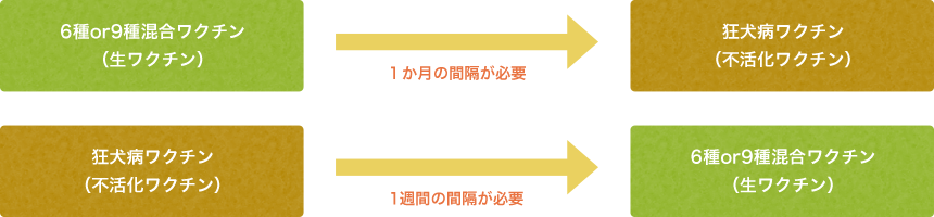 混合ワクチンと狂犬病ワクチンの間隔