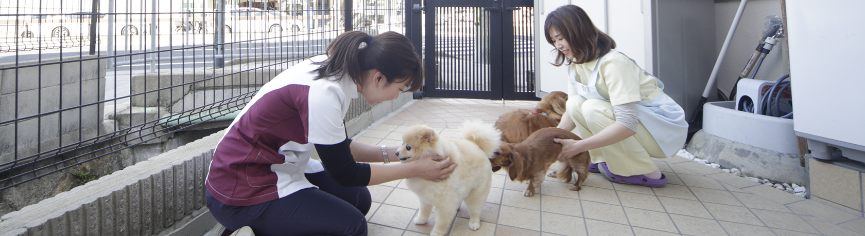 ラポール動物病院